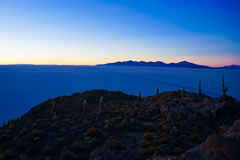 Sunrise on an ancient coral reef in the Salar de Uyuni.